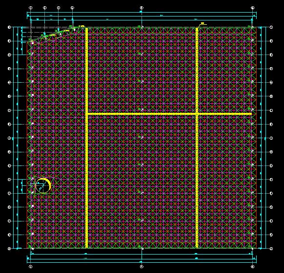 文昌东营金岭化工大王煤棚网架
